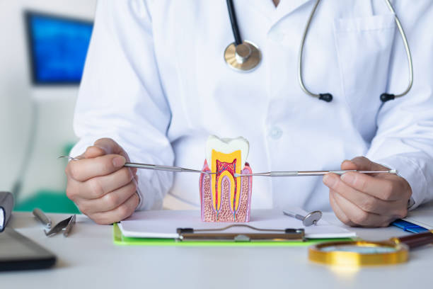 Best Emergency Pediatric Dental Care in Wareham Center, MA